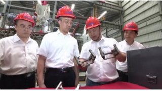 麗水市委書記胡海峰調(diào)研暢爾