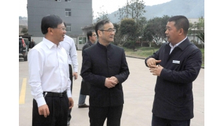 浙江省委統(tǒng)戰(zhàn)部部長(zhǎng)馮志禮調(diào)研暢爾