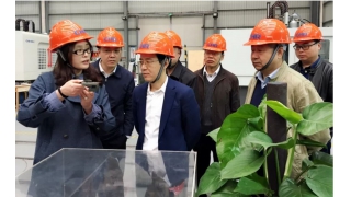 浙江省政協(xié)副秘書長帥燮瑯一行調研暢爾