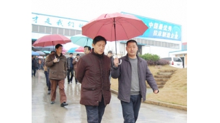 省科技廳廳長蔣泰維一行蒞臨我公司視察指導(dǎo)