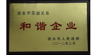 麗水市勞動(dòng)關(guān)系和諧企業(yè)