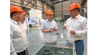 縉云縣副縣長劉潔陽調(diào)研暢爾