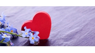 【暢爾故事】胡武英：在暢爾，總有溫暖隨行